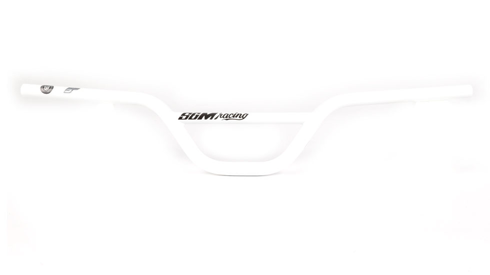 Bars_5_Race_white.jpg